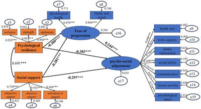 Impact of psychological resilience and social support on psycho-social adjustment in postoperative patients with primary hepatocellular carcinoma: mediating effects of fear of progression